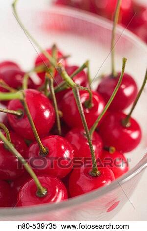 Stock Photography - Morello cherries. Fotosearch