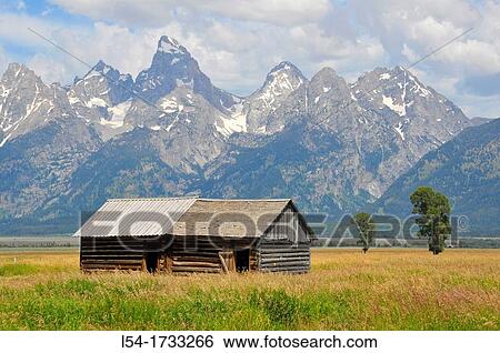 Mormon Row Grand Teton National Park Wyoming WY United States View Large Photo Image Stock Photograph - Mormon Row Grand Teton National Park Wyoming WY United States. Fotosearch