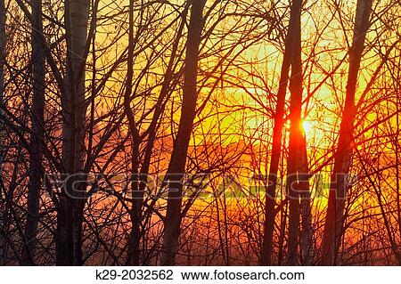 Morning fog around Robinson Lake at sunrise, Greater Sudbury, Ontario, Canada. View Large Photo Image Stock Image - Morning fog around Robinson Lake at sunrise, Greater Sudbury, Ontario, Canada.. Fotosearch