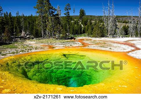 Morning Glory Pool part of the Upper Geyser Basin, Yellowstone National Park. View Large Photo Image Stock Image - Morning Glory Pool part of the Upper Geyser Basin, Yellowstone National Park.. Fotosearch