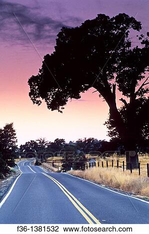 Stock Image - Morning light over country road near Plymouth, Shenandoah Valley, Amador County, California. Fotosearch
