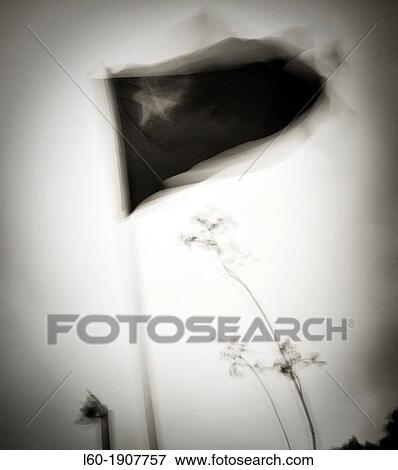 Stock Photo - Morocco flag. Fotosearch