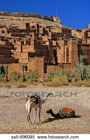 Morocco, near Quarzazate, Ait Benhaddou, Exotic Kasbah, Camels in Foreground View Large Photo Image Stock Photography - Morocco, near Quarzazate, Ait Benhaddou, Exotic Kasbah, Camels in Foreground. Fotosearch