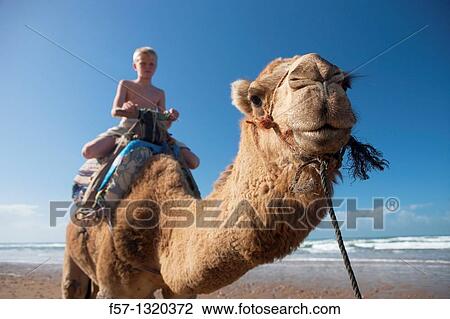 Morocco View Large Photo Image Stock Image - Morocco. Fotosearch