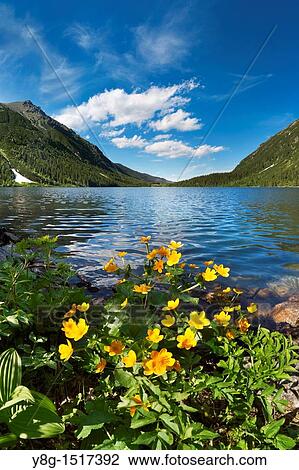 Morskie Oko Lake, Tatra National Park, Poland, Europe View Large Photo Image Stock Image - Morskie Oko Lake, Tatra National Park, Poland, Europe. Fotosearch