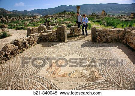 Mosaic on the floor of the? Knight's house?, Roman ruins of Volubilis near Meknes, Moulay Idriss town in background, Morocco View Large Photo Image Stock Photography - Mosaic on the floor of the? Knight's house?, Roman ruins of Volubilis near Meknes, Moulay Idriss town in background, Morocco. Fotosearch