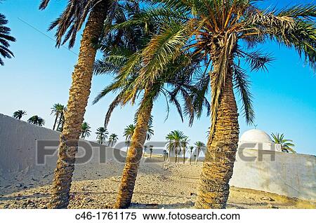 Mosque, El Faouar, South Tunisia, Tunisia. View Large Photo Image Stock Photography - Mosque, El Faouar, South Tunisia, Tunisia.. Fotosearch