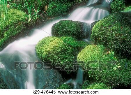 Moss-covered boulders and waterfall in Roaring Fork, Appalachian mountain stream. Great Smoky Mountains NP, TN, USA View Large Photo Image Stock Photography - Moss-covered boulders and waterfall in Roaring Fork, Appalachian mountain stream. Great Smoky Mountains NP, TN, USA. Fotosearch