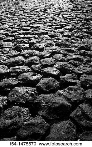 Moss-covered rocks on the sea, Netherlands View Large Photo Image Stock Image - Moss-covered rocks on the sea, Netherlands. Fotosearch