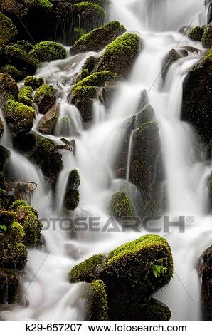 Stock Photo - Mossy cascade in tributary of Middle Prong of Little River. Great Smoky Mountains National Park, Tennessee, Appalachian, USA. Fotosearch