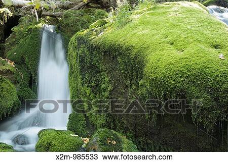 Mossy Falls on the side of King Ravine Trail in the White Mountains, New Hampshire USA View Large Photo Image Stock Image - Mossy Falls on the side of King Ravine Trail in the White Mountains, New Hampshire USA. Fotosearch