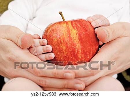 Mother and baby daughter holding an apple View Large Photo Image Stock Image - Mother and baby daughter holding an apple. Fotosearch