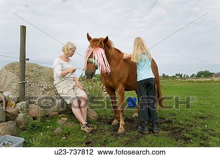 Mother and child by a horse. View Large Photo Image Stock Image - Mother and child by a horse.. Fotosearch