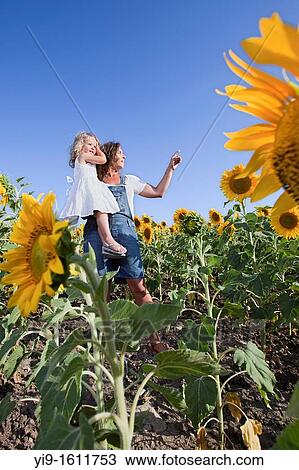 mother and daughter in a field of sunflowers View Large Photo Image Stock Image - mother and daughter in a field of sunflowers. Fotosearch