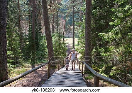 Mother and Young Girl Walking on Boardwalk in Forest Holding Hands, P? lva County, Estonia View Large Photo Image Stock Image - Mother and Young Girl Walking on Boardwalk in Forest Holding Hands, P? lva County, Estonia. Fotosearch