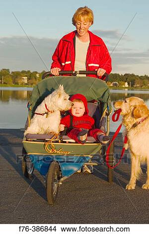 Mother with dog (holding her own lead) and 15 month old baby in stroller made for jogging View Large Photo Image Picture - Mother with dog (holding her own lead) and 15 month old baby in stroller made for jogging. Fotosearch