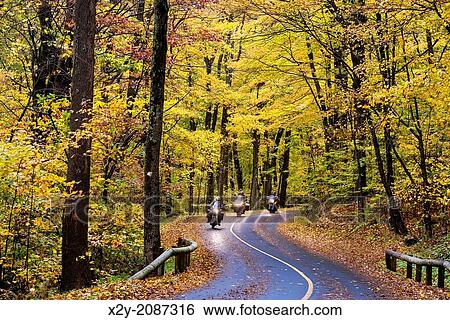 Motorcyclists on rural autumn road, Mt. Greylock State Reservation, Massachusetts, USA. View Large Photo Image Stock Photograph - Motorcyclists on rural autumn road, Mt. Greylock State Reservation, Massachusetts, USA.. Fotosearch