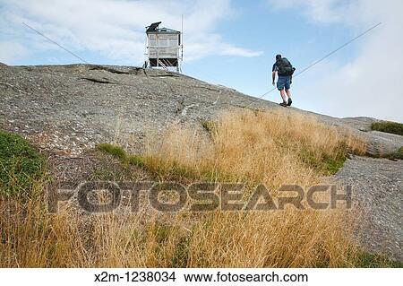 Mount Cardigan State Park - A hiker near Cardigan Mountain Tower on Cardigan Mountain in Orange, New Hampshire USA This fire tower was in operation from 1924-present View Large Photo Image Picture - Mount Cardigan State Park - A hiker near Cardigan Mountain Tower on Cardigan Mountain in Orange, New Hampshire USA This fire tower was in operation from 1924-present. Fotosearch