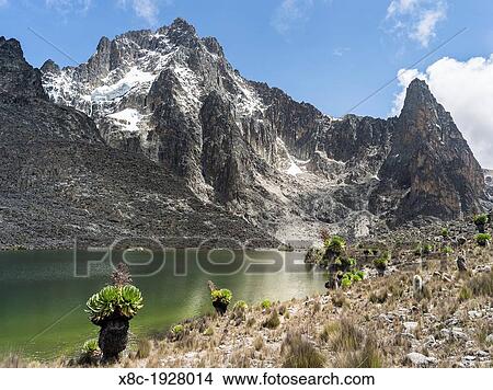 Picture - Mount Kenya national park in the highlands of central Kenya, a UNESCO world heritage site.. Fotosearch