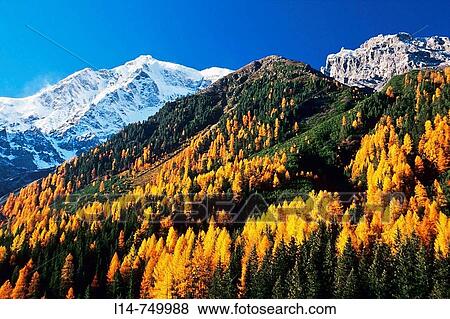Stock Photo - Mount Ortler (3905 m), Solda (Sulden), Stelvio National Park. Trentino-Alto Adige, Italy. Fotosearch
