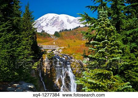 Mount Rainier and Myrtle Falls in Autumn View Large Photo Image Picture - Mount Rainier and Myrtle Falls in Autumn. Fotosearch