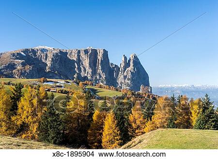 Mount Schlern also called mount sciliar seen from the Alpe Seiser Alm in South Tyrol during autumn View Large Photo Image Picture - Mount Schlern also called mount sciliar seen from the Alpe Seiser Alm in South Tyrol during autumn. Fotosearch