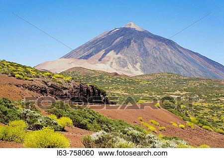 Mount Teide, Las Caadas del Teide National Park. Tenerife, Canary Islands, Spain View Large Photo Image Stock Image - Mount Teide, Las Caadas del Teide National Park. Tenerife, Canary Islands, Spain. Fotosearch