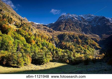Mountain and forest in autumn Plan dera Artiga Artiga de Lin Aran Valley Pyrenees mountain range Lerida province Catalonia, Spain, Europe View Large Photo Image Stock Photo - Mountain and forest in autumn Plan dera Artiga Artiga de Lin Aran Valley Pyrenees mountain range Lerida province Catalonia, Spain, Europe. Fotosearch
