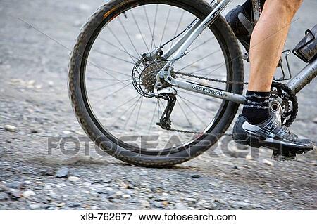 Mountain bike View Large Photo Image Stock Photo - Mountain bike. Fotosearch