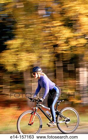 Stock Image - Mountain biking in birch forest. Alaska. USA. Fotosearch