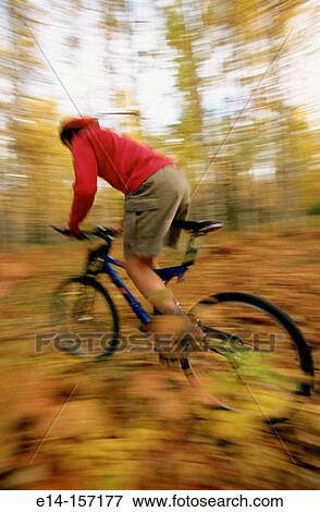 Stock Photo - Mountain biking in birch forest. Alaska. USA. Fotosearch