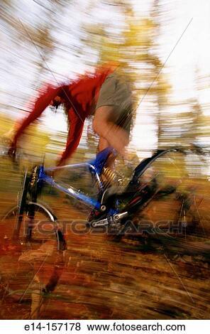 Mountain biking in birch forest. Alaska. USA View Large Photo Image Stock Photo - Mountain biking in birch forest. Alaska. USA. Fotosearch