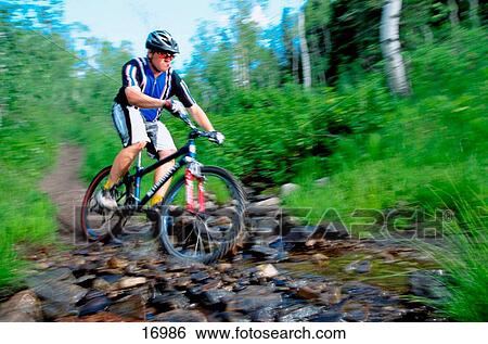 Mountain biking View Large Photo Image Stock Photograph - Mountain biking. Fotosearch