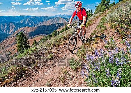 Stock Photography - mountain biking the Broadway Saddle Trail on Bald Mountain at Sun Valley Resort near the cities of Ketchum and Sun Valley in central Idaho.. Fotosearch