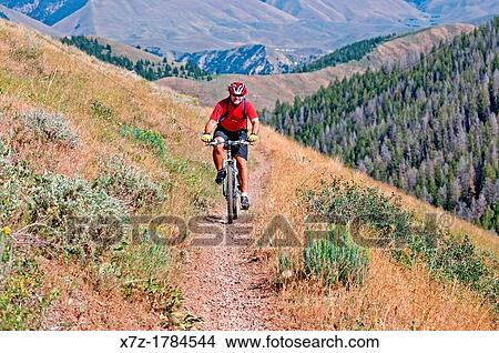 mountain biking the Cold Springs Trail on Bald Mountain at Sun Valley Resort near the cities of Ketchum and Sun Valley in central Idaho View Large Photo Image Picture - mountain biking the Cold Springs Trail on Bald Mountain at Sun Valley Resort near the cities of Ketchum and Sun Valley in central Idaho. Fotosearch