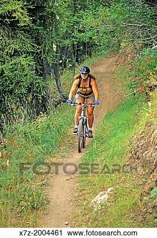 mountain biking the Cold Springs Trail on Bald Mountain at Sun Valley Ski Resort near the city of Ketchum in central Idaho. View Large Photo Image Stock Image - mountain biking the Cold Springs Trail on Bald Mountain at Sun Valley Ski Resort near the city of Ketchum in central Idaho.. Fotosearch