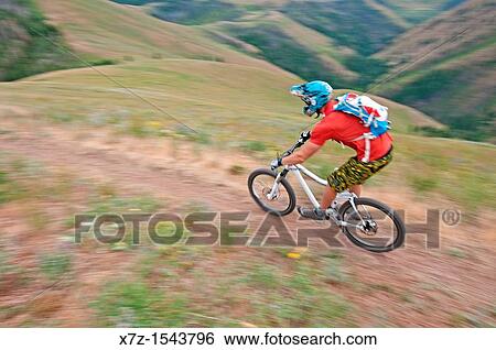 Mountain biking the Cold Springs Trail on Bald Mountain at Sun Valley Resort near the city of Ketchum in central Idaho View Large Photo Image Stock Photograph - Mountain biking the Cold Springs Trail on Bald Mountain at Sun Valley Resort near the city of Ketchum in central Idaho. Fotosearch