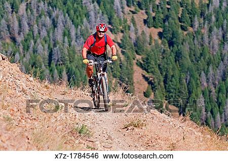 Stock Photograph - mountain biking the Cold Springs Trail on Bald Mountain at Sun Valley Resort near the cities of Ketchum and Sun Valley in central Idaho. Fotosearch