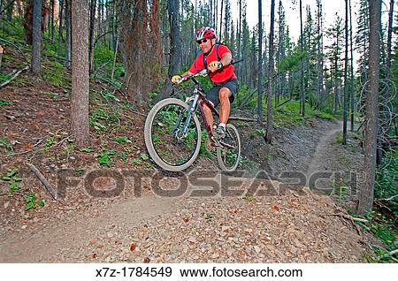 mountain biking the Forbidden Fruit Trail at Adams Gulch in the Smoky Mountains near the cities of Ketchum and Sun Valley in central Idaho View Large Photo Image Stock Photo - mountain biking the Forbidden Fruit Trail at Adams Gulch in the Smoky Mountains near the cities of Ketchum and Sun Valley in central Idaho. Fotosearch