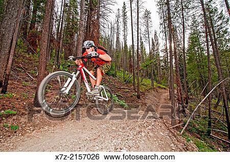 mountain biking the Forbidden Fruit Trail at Adams Gulch in the Smoky Mountains near the city of Ketchum in central Idaho. View Large Photo Image Stock Photograph - mountain biking the Forbidden Fruit Trail at Adams Gulch in the Smoky Mountains near the city of Ketchum in central Idaho.. Fotosearch