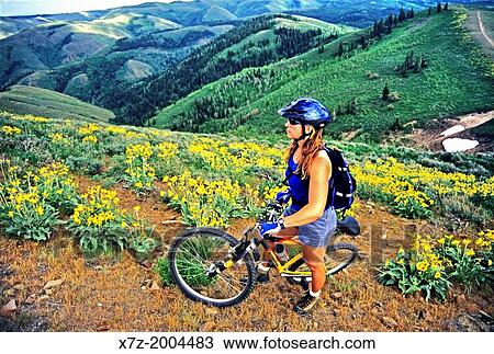 mountain biking the Pike Mountain Trail on Pike Mountain in the Goose Creek Mountains in southern Idaho. View Large Photo Image Stock Image - mountain biking the Pike Mountain Trail on Pike Mountain in the Goose Creek Mountains in southern Idaho.. Fotosearch