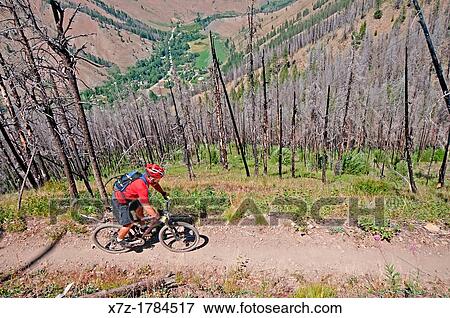 mountain biking the Warm Springs Trail on Bald Mountain at Sun Valley Resort near the cities of Ketchum and Sun Valley in central Idaho View Large Photo Image Stock Photo - mountain biking the Warm Springs Trail on Bald Mountain at Sun Valley Resort near the cities of Ketchum and Sun Valley in central Idaho. Fotosearch