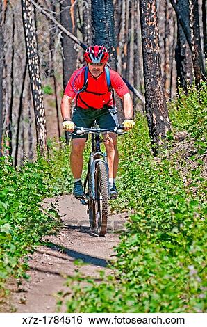 mountain biking the Warm Springs Trail on Bald Mountain at Sun Valley Resort near the cities of Ketchum and Sun Valley in central Idaho View Large Photo Image Stock Photograph - mountain biking the Warm Springs Trail on Bald Mountain at Sun Valley Resort near the cities of Ketchum and Sun Valley in central Idaho. Fotosearch