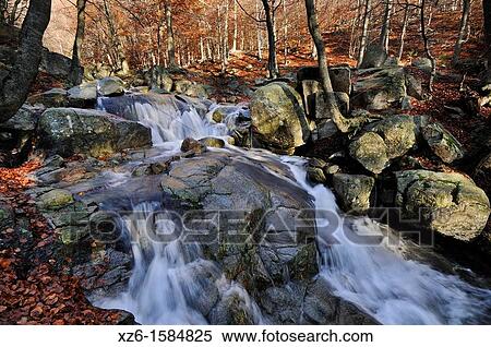 mountain creek, Riera de Santa Fe, Montseny, Catalonia, Spain, Europe View Large Photo Image Stock Photography - mountain creek, Riera de Santa Fe, Montseny, Catalonia, Spain, Europe. Fotosearch
