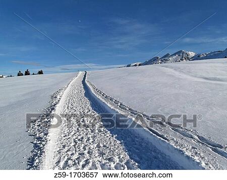 mountain range of churfirsten - area of amden - canton of st gall - switzerland View Large Photo Image Stock Photo - mountain range of churfirsten - area of amden - canton of st gall - switzerland. Fotosearch