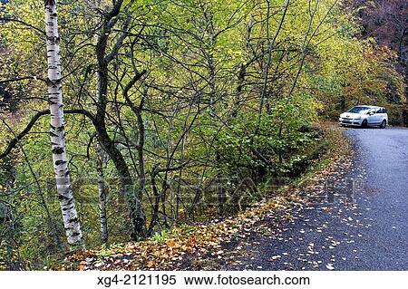 Mountain road - Autumn - Varrados valley - Val d? Aran - Aran - Lleida - Catalonia - Spain - Europe. View Large Photo Image Stock Photography - Mountain road - Autumn - Varrados valley - Val d? Aran - Aran - Lleida - Catalonia - Spain - Europe.. Fotosearch