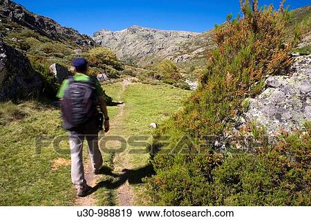 Stock Photo - Mountaineer walking in the Cinco Lagunas Valley Garganta del Pinar Mountains of the Sierra de Gredos National Park Zapardiel de la Ribera? vila Castilla y Le? n Spain. Fotosearch