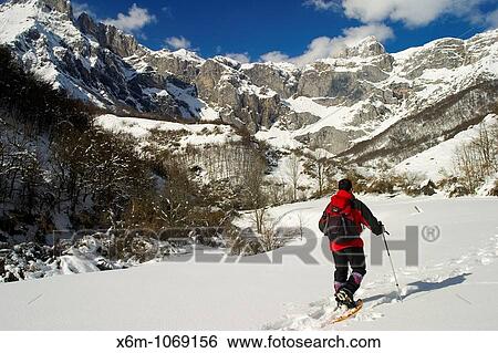 Stock Photograph - mountaineer walking with snowshoes in a snow-capped mountains landscape Picos de Europa National Park Cantabria Spain Europe. Fotosearch