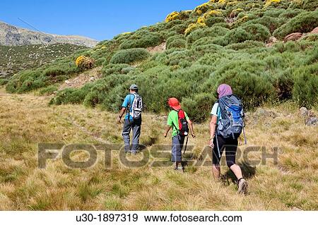 Mountaineers walking in Sierra de Gredos Regional Park,? vila Castilla y Le? n Spain View Large Photo Image Stock Photo - Mountaineers walking in Sierra de Gredos Regional Park,? vila Castilla y Le? n Spain. Fotosearch