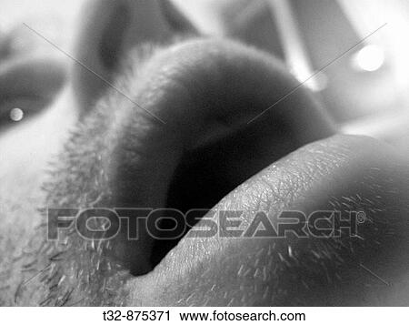 Mouth View Large Photo Image Stock Image - Mouth. Fotosearch